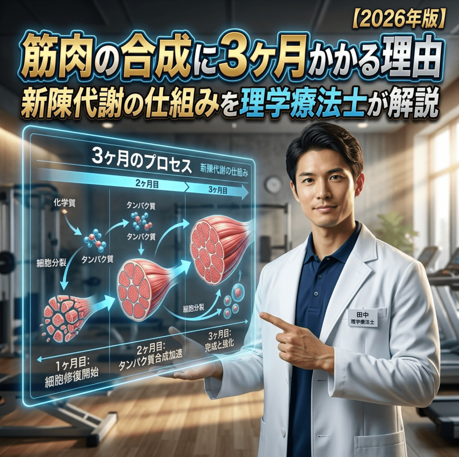 筋肉の合成に3ヶ月かかる理由｜新陳代謝の仕組みを理学療法士が解説【2026年版】